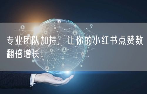 专业团队加持，让你的小红书点赞数翻倍增长！