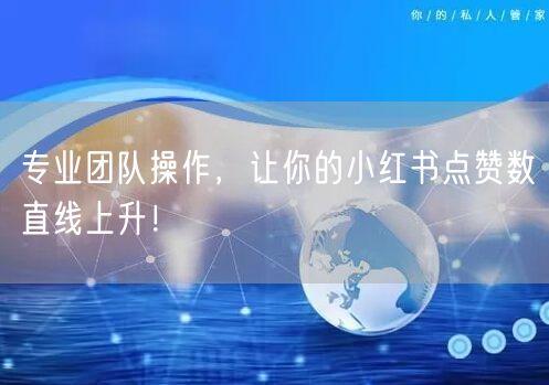 专业团队操作，让你的小红书点赞数直线上升！